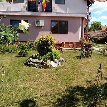 Hotel Pensiunea Oana Balc Exterior foto